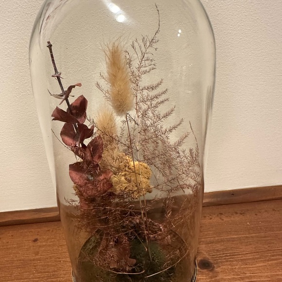 Dried Flowers and Botanicals in Decorative Glass Cloche Duo - Picture 7 of 10